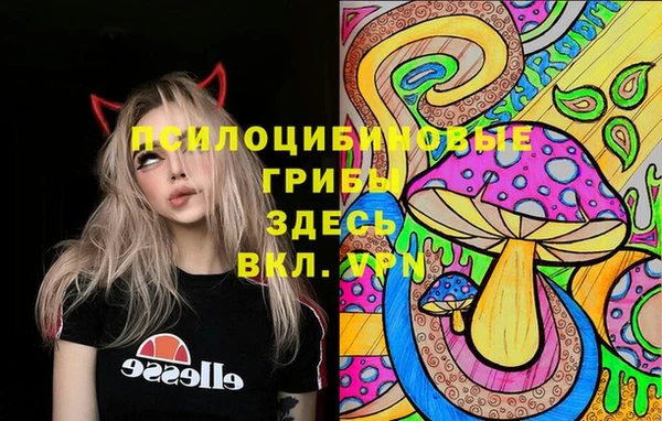 Альфа ПВП Покровск