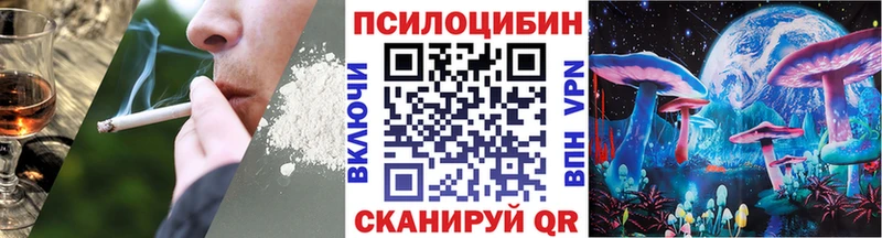 Купить  Усмань  Псилоцибиновые грибы Cubensis 